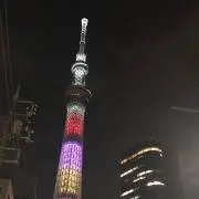 マメボンの画像