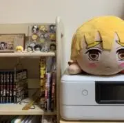やっちゃんの画像