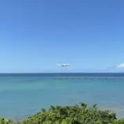 2379782941の画像