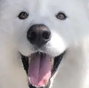 ふちの画像