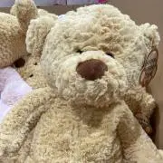 BabyBearの画像
