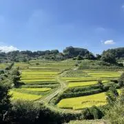 かかしの画像