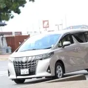 ぽこちんの画像