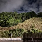 エムディの画像