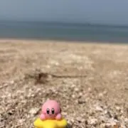 にこの画像