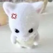 ココの画像