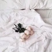 Co