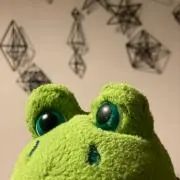 ケロの画像