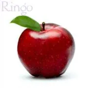 Ringoの画像