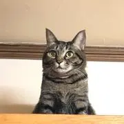 ena