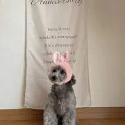 ほし