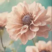 KmmnR♡プロフ＆商品説明読んで下さいの画像