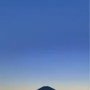 並木の画像