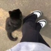 Zhiyun（6/23~27まで不在）