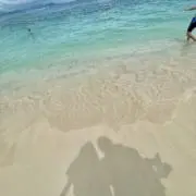mkの画像
