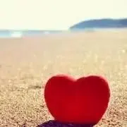 A ◡̈⃝︎⋆︎*の画像
