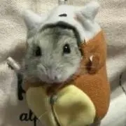 ★激安で出品中★