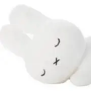 きみどりの画像