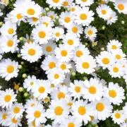tksmk☺︎ ︎の画像