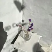 Relevéの画像