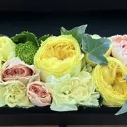 ぶんちゃんの画像