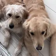じゅんの画像