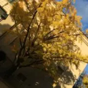 びーるの画像