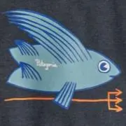 きたやんの画像