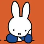MIの画像