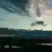 ゆゆゆの画像
