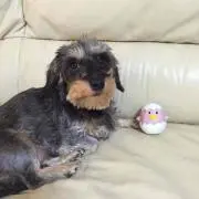メル3