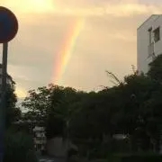はなの画像