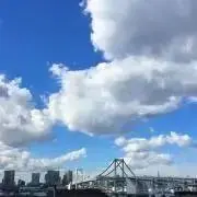 パープル　お値下げ中！の画像