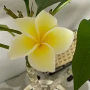 markの画像