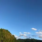 ユッコの画像