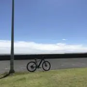 ZiZiの画像