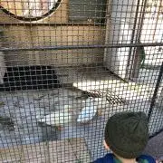 さとみん