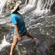 sumieの画像
