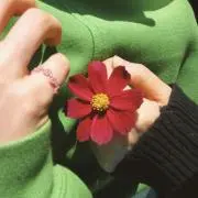 みみの画像