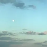 zzzzzの画像