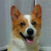 一休