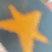 名称未設定