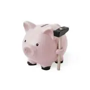 piggyの画像