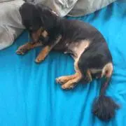 み〜ちゃん