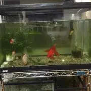 マスコミ