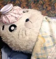 ごまみの画像