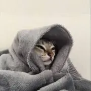 Ravi