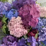 pono_115の画像