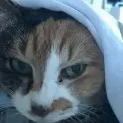 Tomominプロフ見てね☆