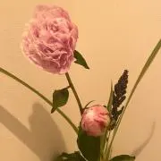 より